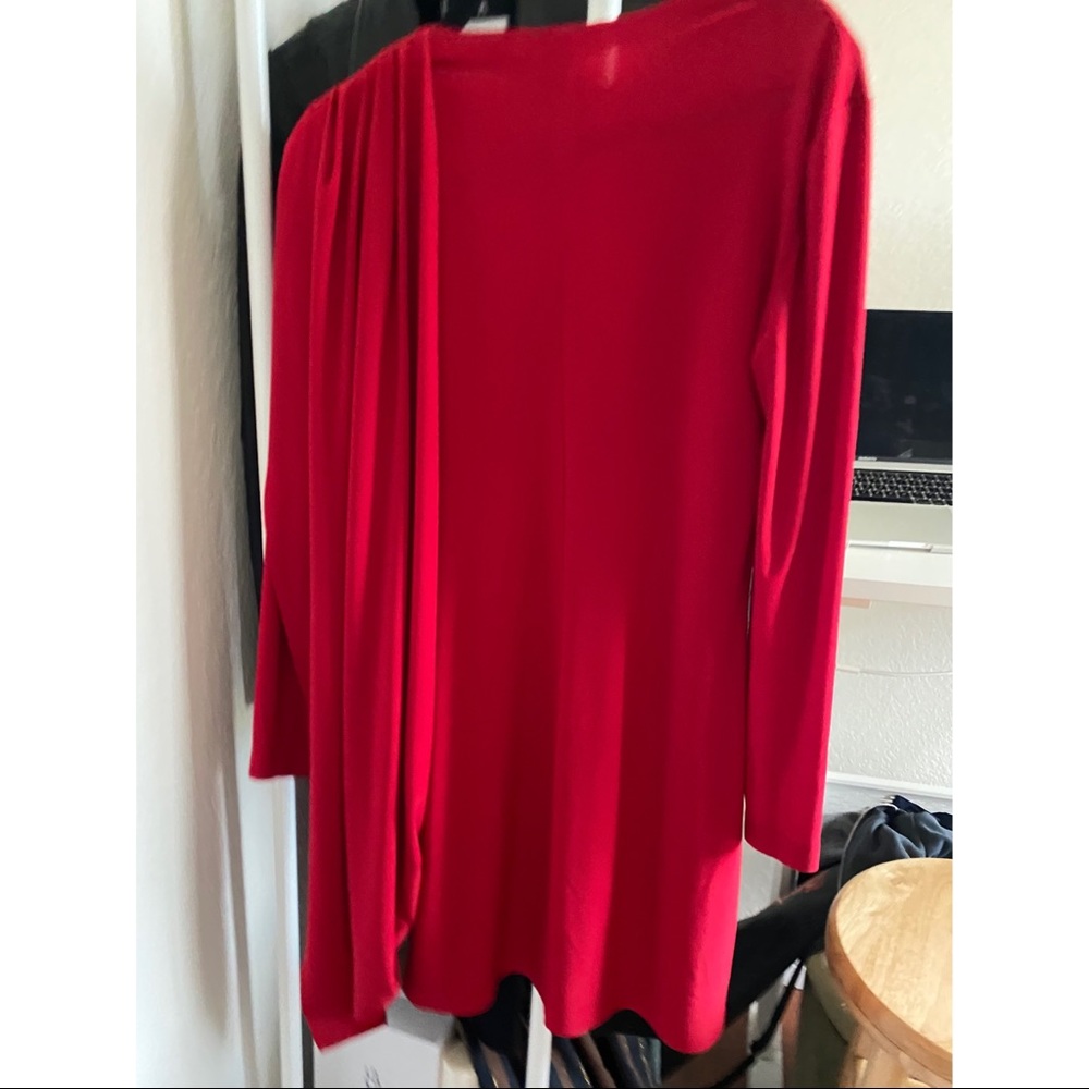 Red Mini Dress - Picture 5 of 5